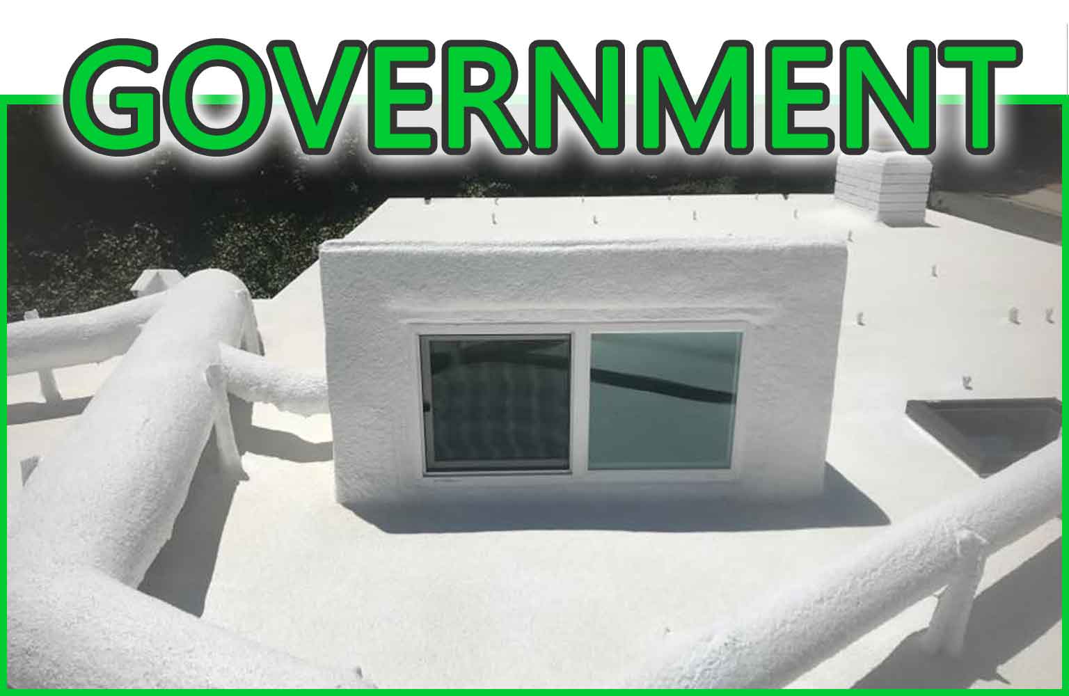 Government